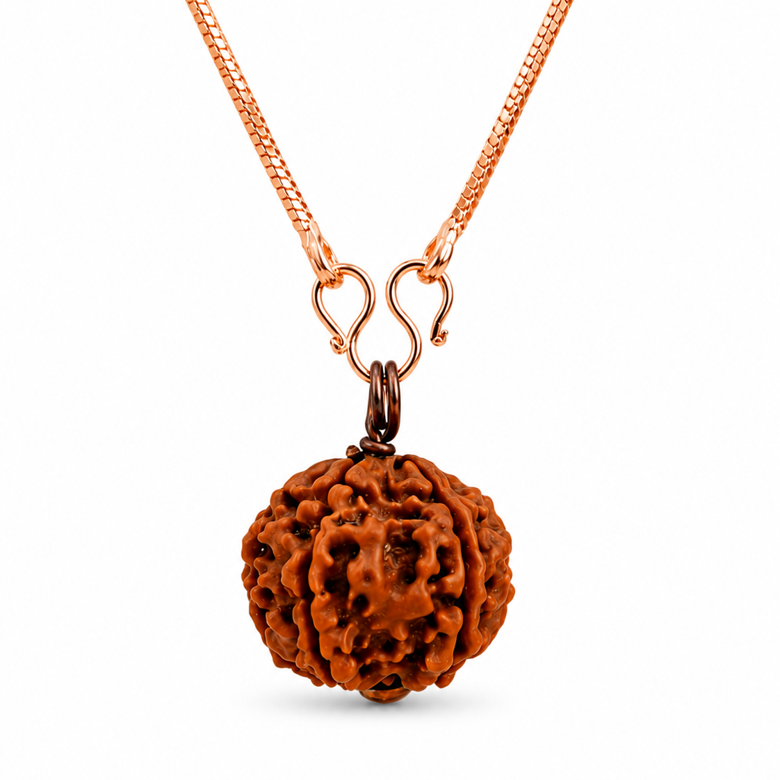 Rudraksha