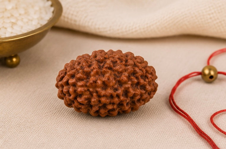 Natural 18 Mukhi Rudraksha | StarVeda