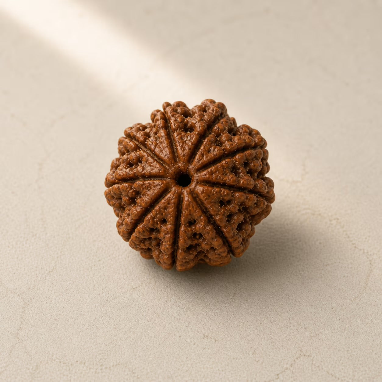 Natural 9 Mukhi Rudraksha | StarVeda