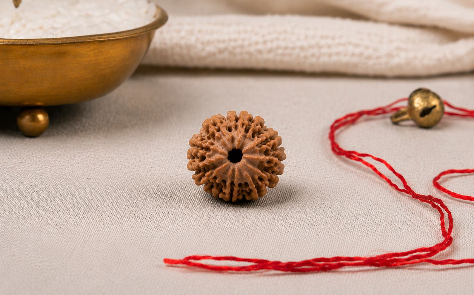 Natural 3 Mukhi Rudraksha | StarVeda