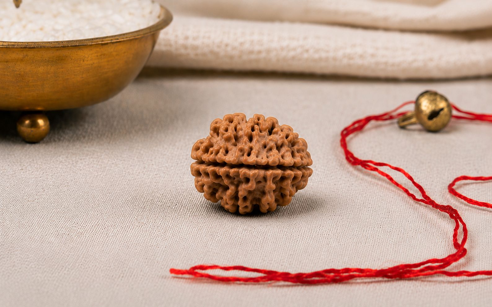 Natural 3 Mukhi Rudraksha | StarVeda