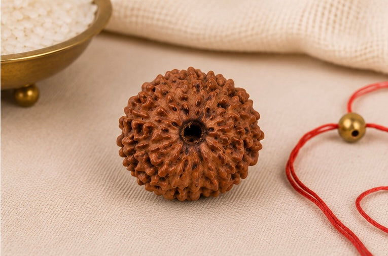 Natural 18 Mukhi Rudraksha | StarVeda