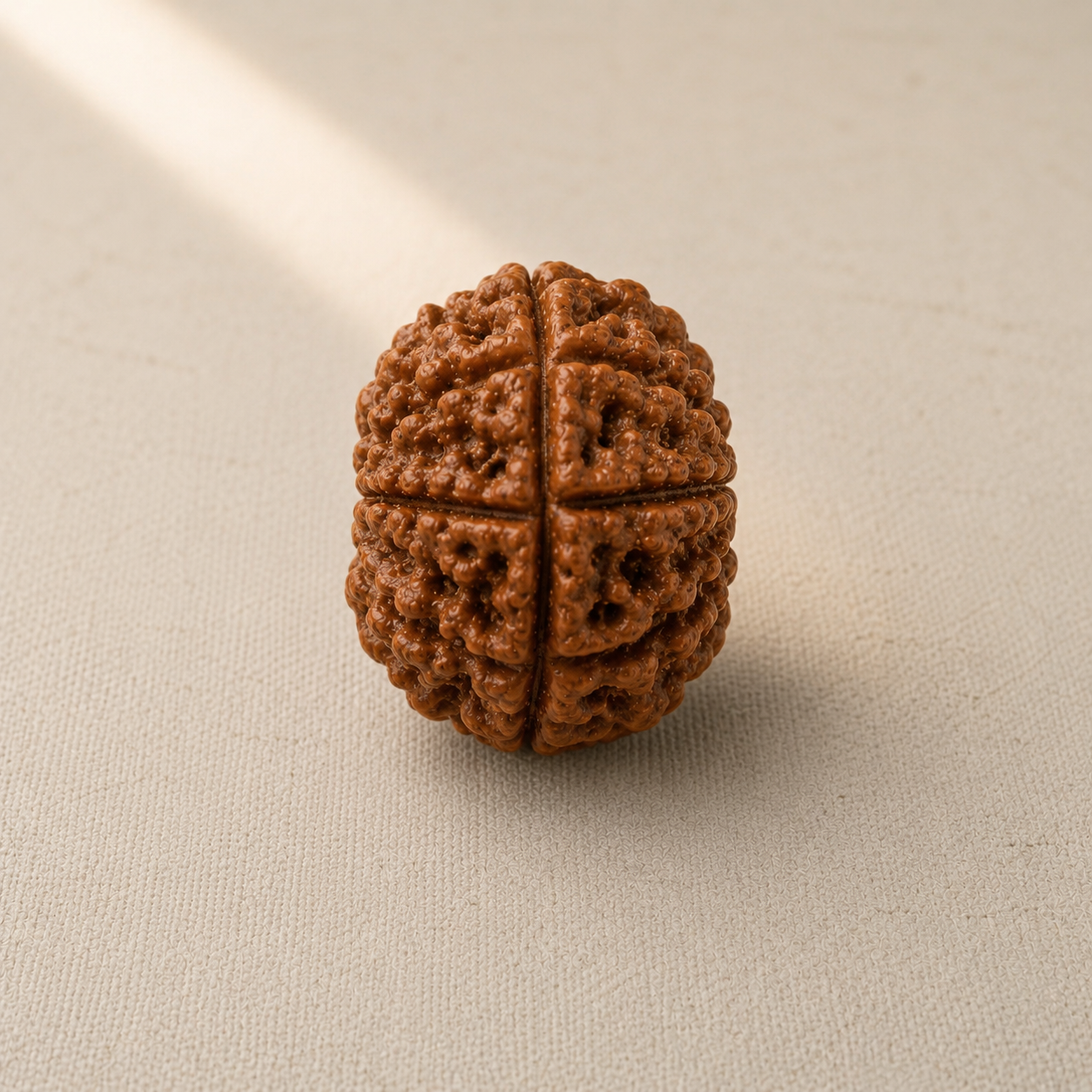 Natural 9 Mukhi Rudraksha | StarVeda