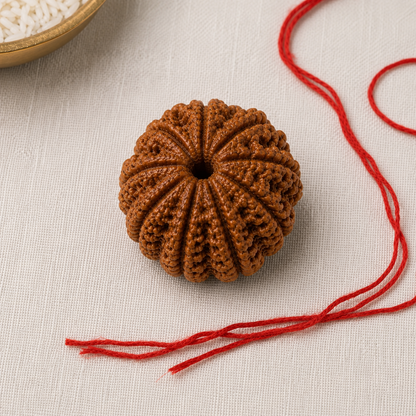 Natural 10 Mukhi Rudraksha | StarVeda