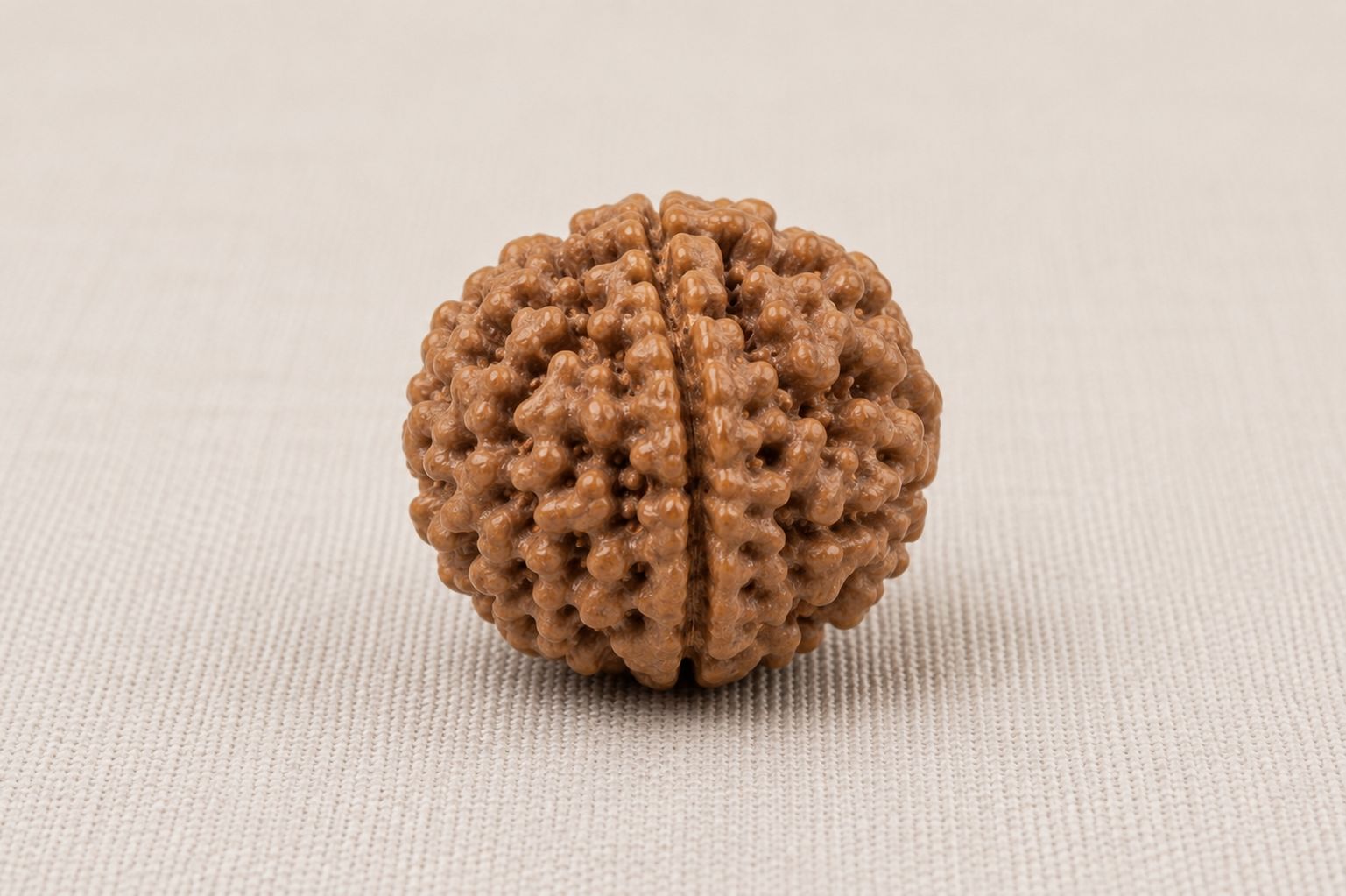Natural 6 Mukhi Rudraksha | StarVeda